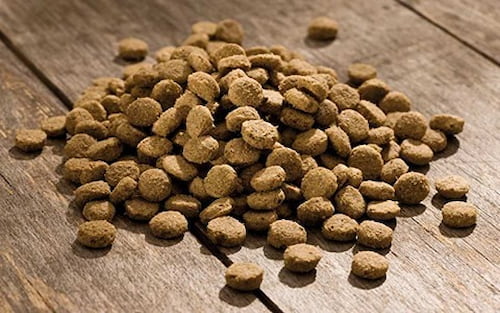 قیمت خوراک ماهیان